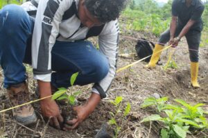 Quinto congreso ambiental