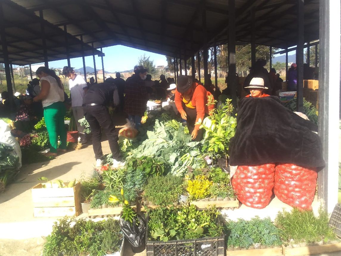 El calvario de los productores en Puerto Seco