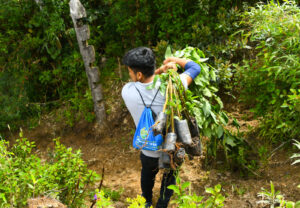 1200 plántulas forestales fueron sembradas en zona rural de Catamayo