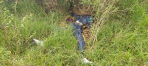 Un cuerpo fue hallado en la Ruta VIVA, en Quito