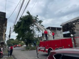 Árboles caídos causan daños en San Camilo