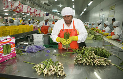 HECHO. El potencial productivo ecuatoriano debe despertarse con más comercio con el mundo.