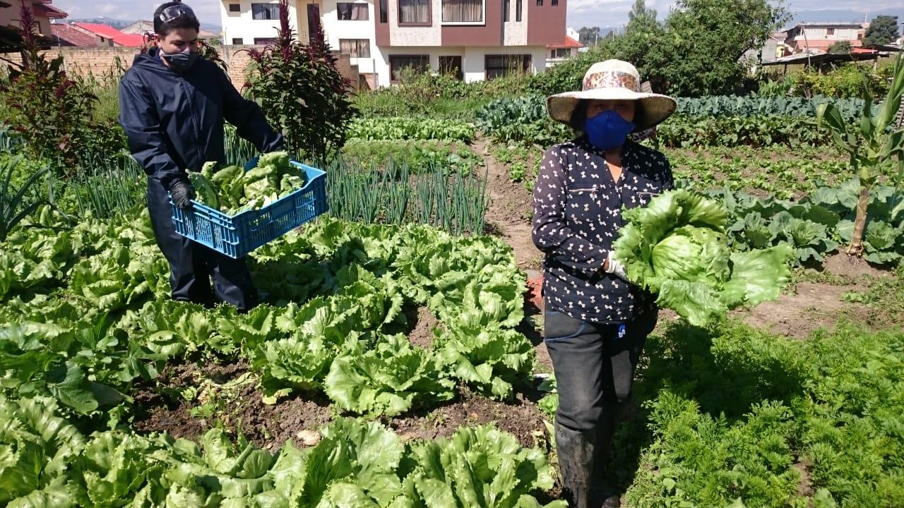 PRODUCTIVIDAD. La pandemia golpeó, pero no mató al espíritu emprendedor ecuatoriano.