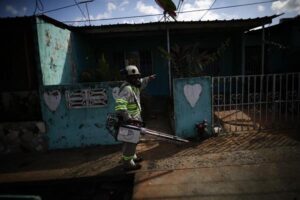 Latinoamérica lucha contra dengue y chikunguña con crisis climática en contra