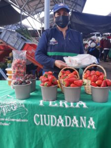Feria de productos orgánicos los fines de semana en Ambato