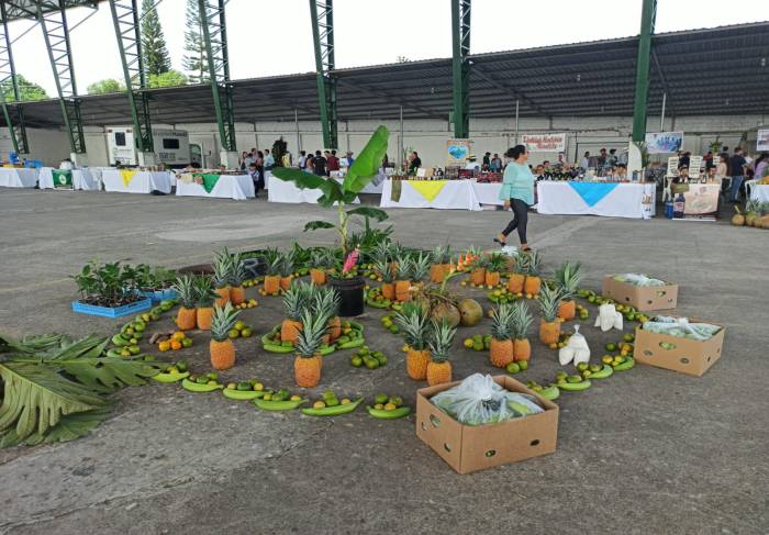 Exposiciones y platos elaborados con plátano