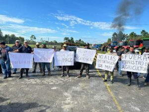 Maiceros reclaman que se les pague un precio justo