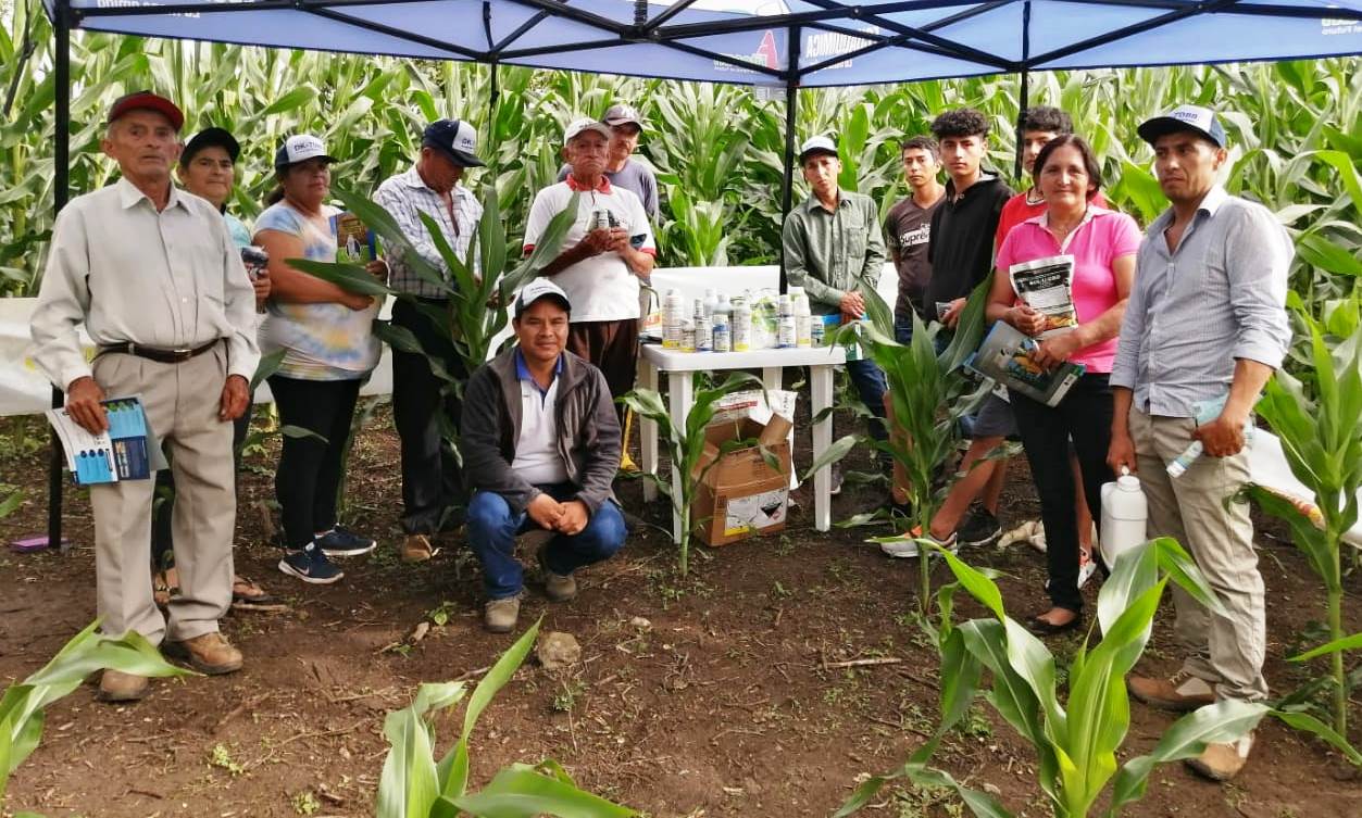 Productores maiceros participan en día de campo organizado por el MAG