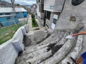 Presencia de ratas en la ciudadela La Cumandá genera preocupación