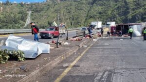 Camión de refrescos se vuelca en Las Viñas