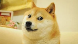 ¿Por qué Twitter cambió el logo del pajarito azul por un perro?