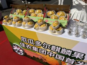 Pitahaya ecuatoriana ya se disfruta en el mercado mayorista de Beijing