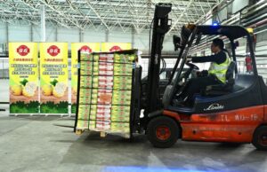 Primer cargamento de pitahaya ecuatoriana llegó a China