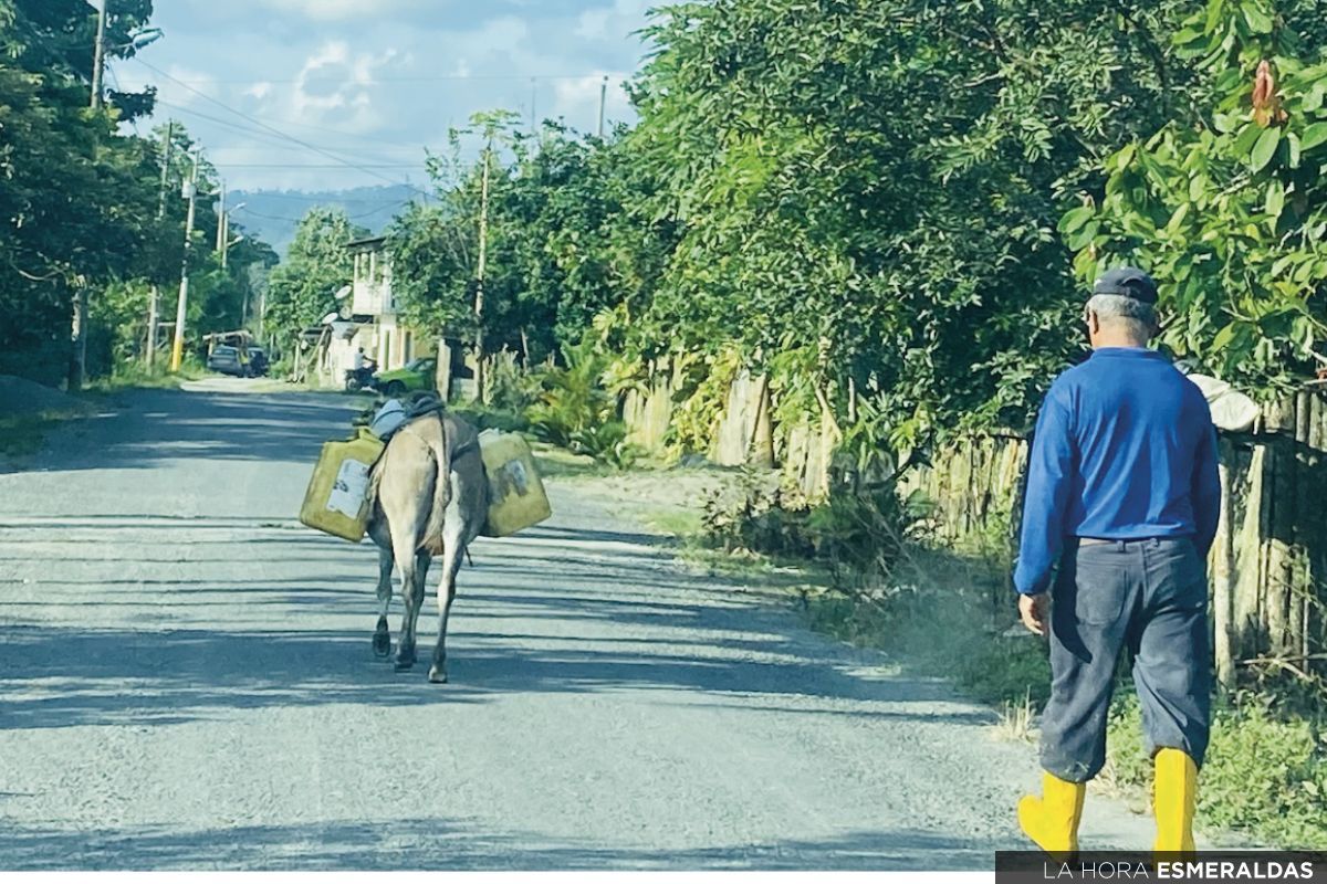 Timbre: Naturaleza, Ganadería y agricultura
