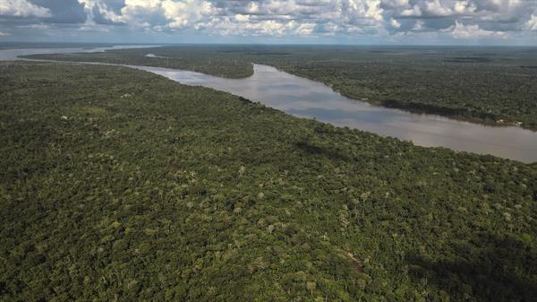 Zona de la Floresta Amazónica, en el estado de Pará, norte de Brasil. EFE