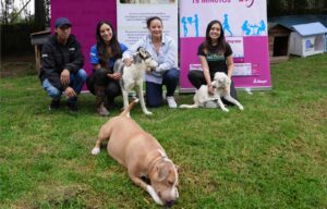 Este domingo el parque La Carolina de Quito tendrá una jornada de adopciones de perros