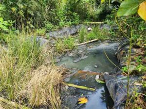 En Puerto Limón hay contaminación ambiental