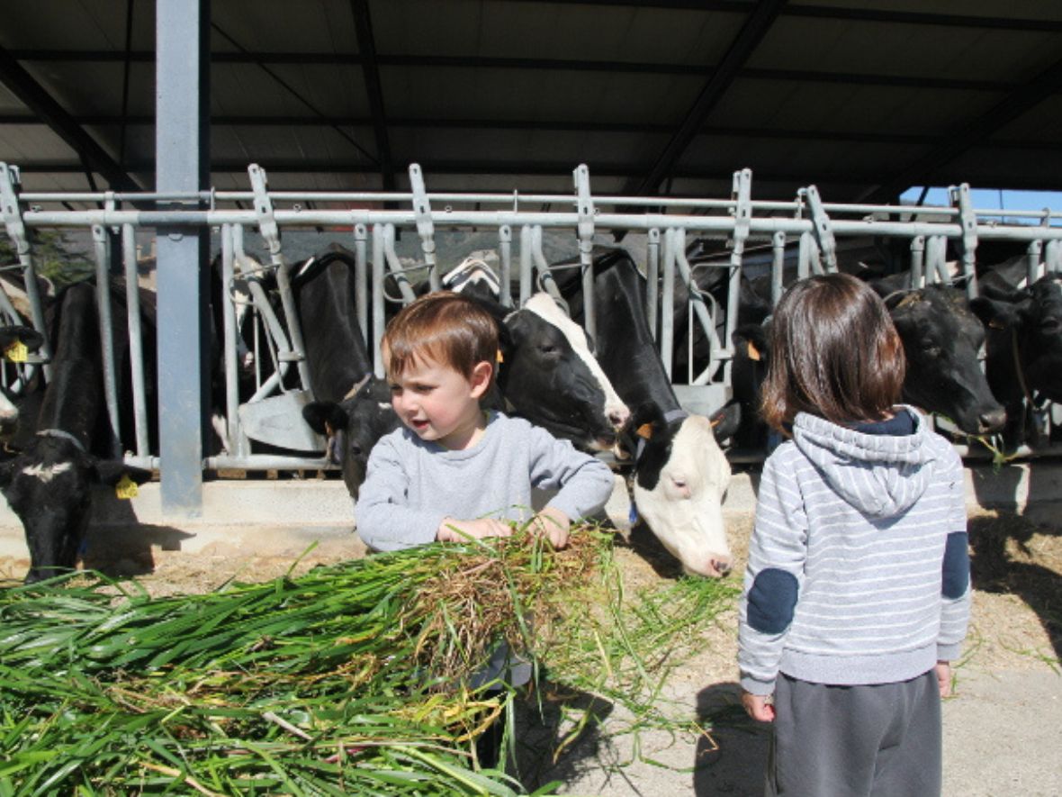 Evento gratuito por el Día del Niño en el Centro Agrícola de Ambato