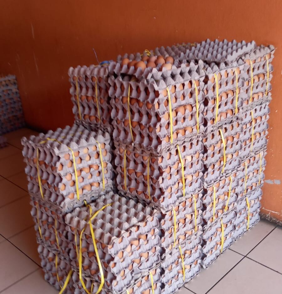 Se estabiliza precio del huevo por vacunación contra la gripe aviar