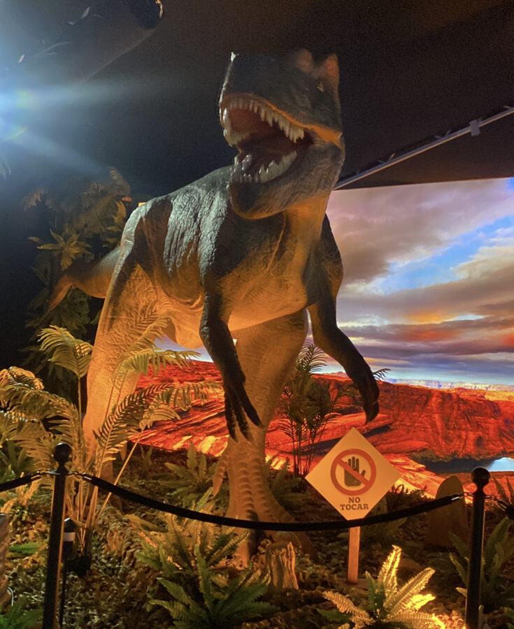 The tour has information panels, backlights, instructional and educational material about these creatures that inhabited our planet 65 million years ago.