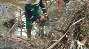 Municipio empieza a limpiar ríos ante  posible llegada de El Niño