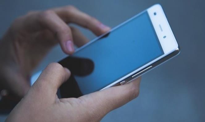 Crean App para detectar casos de corrupción en el sector público