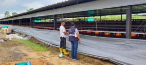 Medidas de bioseguridad en granjas avícolas
