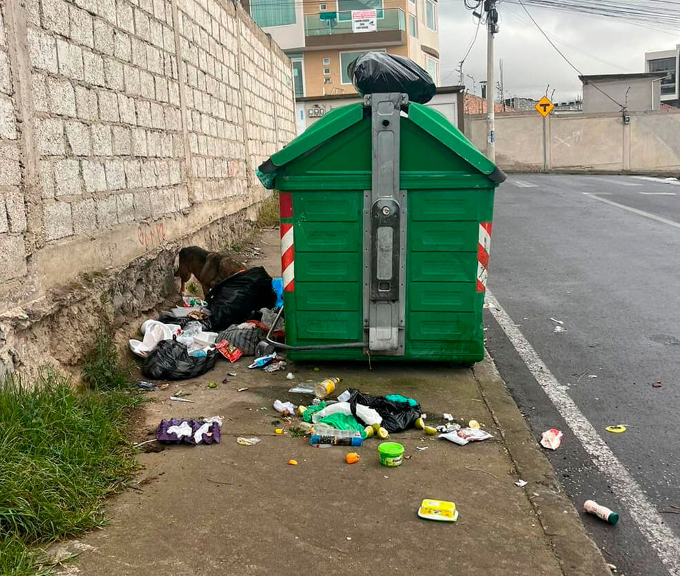 En varios sectores la basura se desborda de los ecotachos.