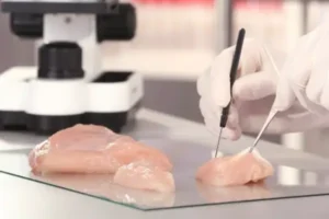Estados Unidos aprueba la venta de carne de pollo cultivada en laboratorio