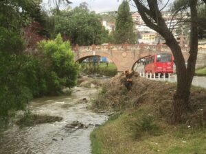 Ciudadanos piden poda de árboles de las orillas de los ríos, vías y parques