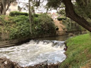 Ríos con alto grado de contaminación, buscan cambiar esa realidad