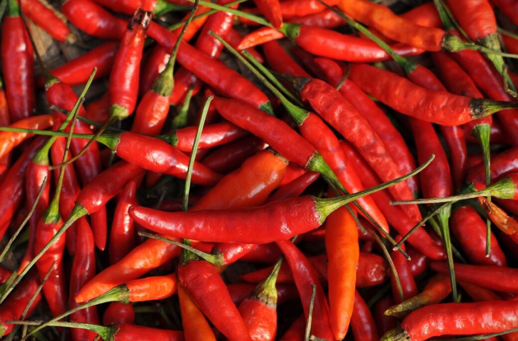 Ají ecuatoriano llegará al mercado de Estados Unidos