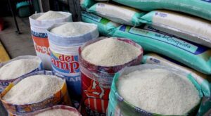 Ministerio de Agricultura desmiente desabastecimiento o restricciones de venta de arroz en Ecuador