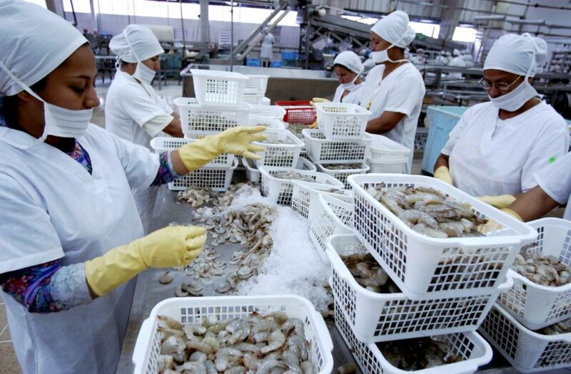 COMERCIO. Productos como el camarón impiden un mayor desplome de las exportaciones.