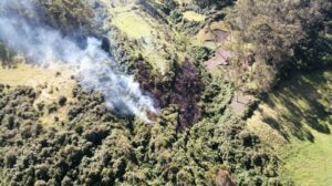 Incendios forestales en Quito: ¿Cómo prevenirlos?
