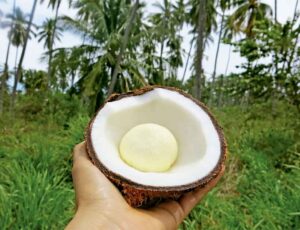Manzana , el exquisito interior del coco