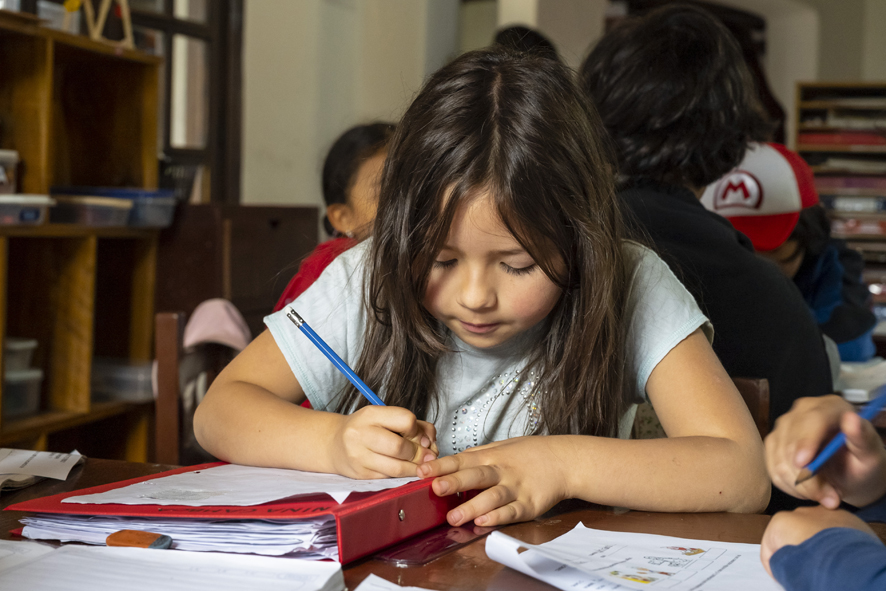 Estudios. Desde mediados de 2024, de manera gradual, se implementará el nuevo currículum que determina la LOEI.