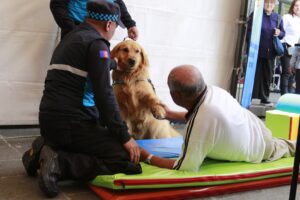 En Quito se ofertan cursos gratuitos de adiestramiento canino