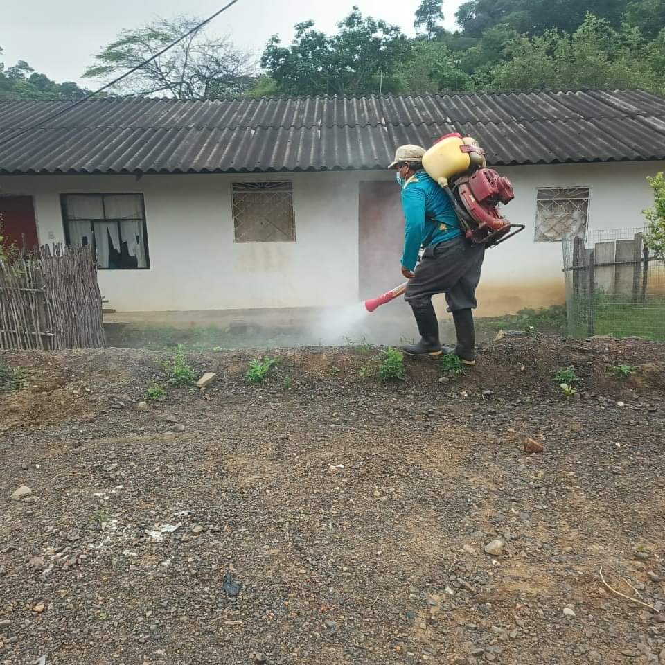 Provincia de Loja presenta más de 71 casos de dengue desde inicios de año