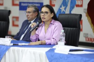 Diana Atamaint responsabiliza a la Corte Constitucional la dificultad del CNE de fiscalizar contenidos en redes sociales