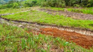 Prefectura construye nuevo sistema de drenaje en Guaguayme Alto