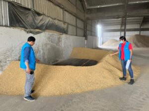 Productores de Los Ríos rechazan la importación de arroz