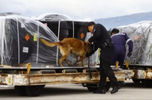 Ecuador recibe segundo cargamento de municiones para fortalecer operaciones policiales