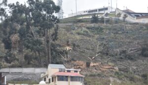 Malestar en Pinllo y Ficoa por la tala de árboles