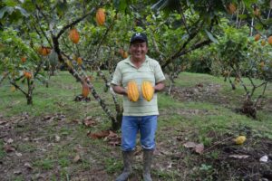 Eduardo Minga: Mejor productor de cacao nacional fino de aroma
