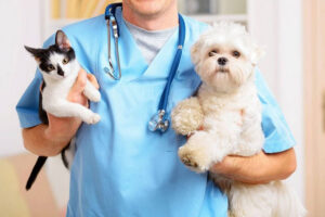 Conoce los servicios que ofrece el Hospital Veterinario de la UTA