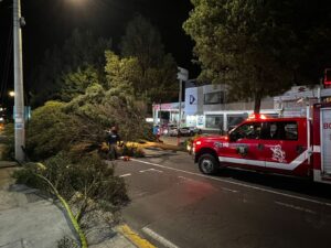 Un árbol cae sobre un taxi en Ambato