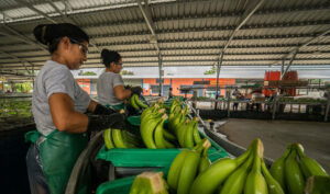Exportadores piden reforma tributaria para reducir los impactos económicos de la inseguridad