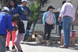 Venta de mascotas sin control en la avenida Bolivariana de Ambato