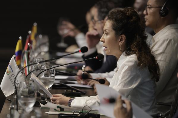 CITA. La secretaria general de la Organización del Tratado de Cooperación Amazónica, María Alexandra Moreira, habla durante la Cumbre Amazónica. EFE